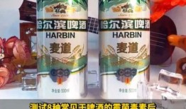 强爽啤酒爆料视频大全,揭秘啤酒界的秘密与传奇